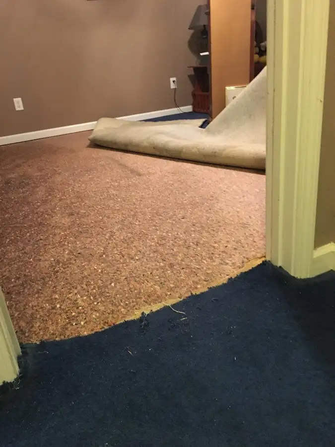 Carpet pad removal revealing water damage during Drying & Dehumidification in Muscatine